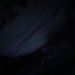 tredenTerrell 2025 - in the club.