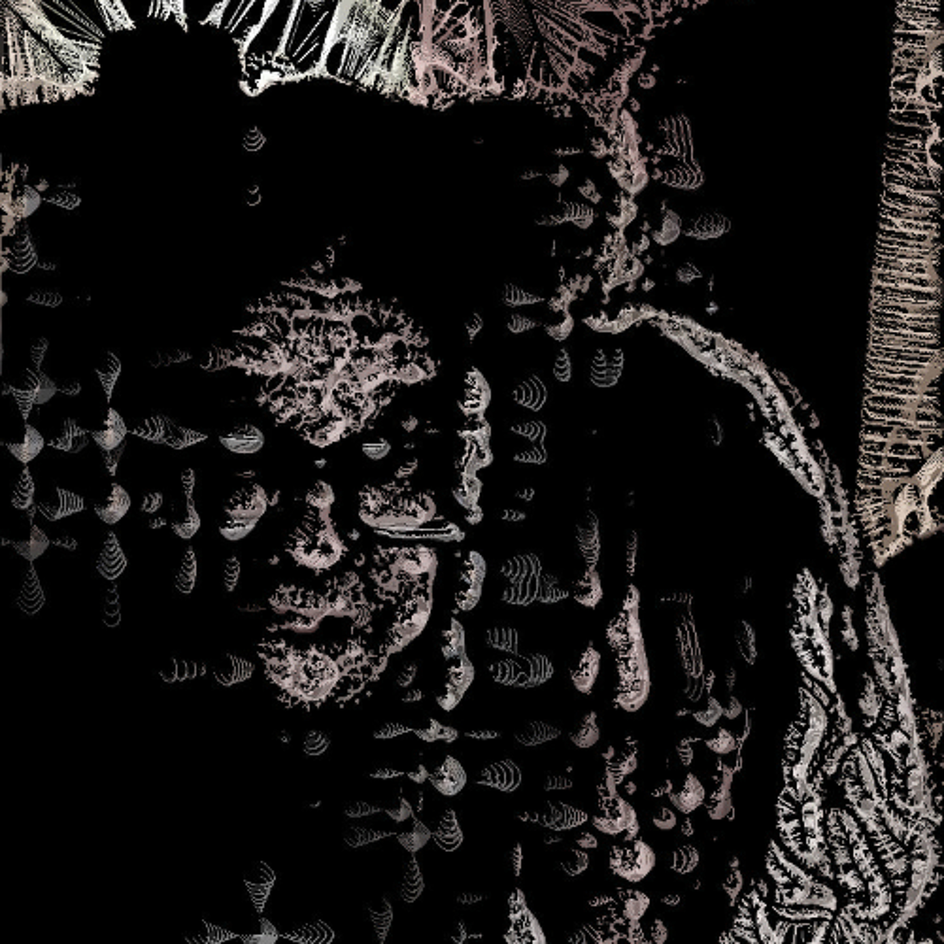BRIAN JONESTOWN MASSACRE cover Anemone thumbnail