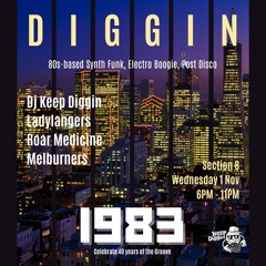 Diggin 1983 @Section 8
