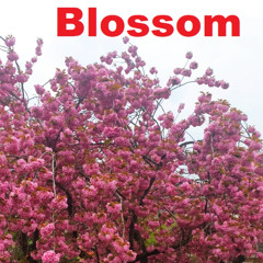 Blossom