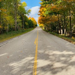 Germinations ('unvollendete') March-Dec 2020
