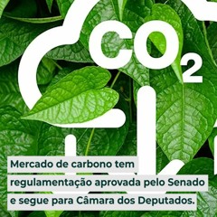 Mercado de carbono tem regulamentação aprovada pelo Senado e segue para Câmara dos Deputados