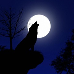 2 Da Moon JerzClub