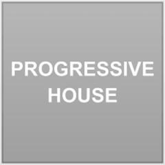 SQUIRREL PROJECT - AUTUMN PRACTICE