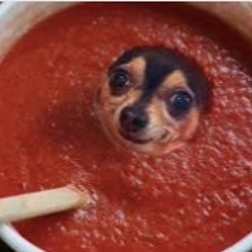 she said im lost in the sauce lol