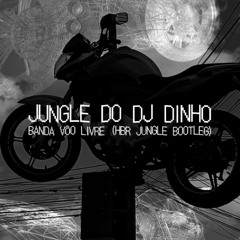 JUNGLE DO DJ DINHO - BANDA VÔO LIVRE (HBR JUNGLE BOOTLEG)