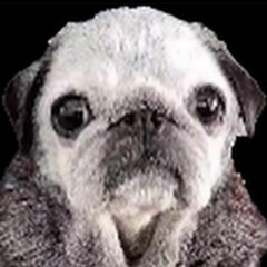 yyyyyyyyyyyyyyyyyyyyyyy