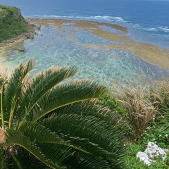 こんな俺だけど