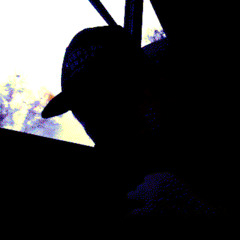 MY MUSIC