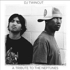 A Tribute to the Neptunes 1