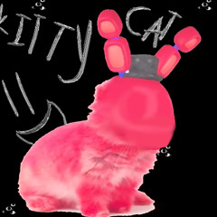 Kitty Cat (Meow Meow Meow!)