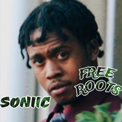 Soniic - FREE ROOTS