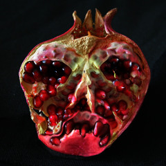 pomegranate w/ justdxnt