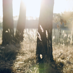 Morning Light (for Viola and Piano)