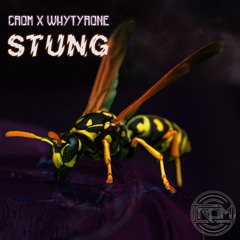 Stung Feat. WhyTyrone (Free Download)