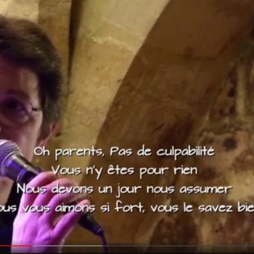 Transition  (live) - Le zèbre slam_ Musique de Aubry Lhomer - Texte Stéphan Fabre 🦓