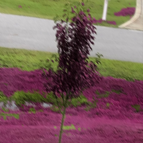 still the same (prod. yxnghustle + holliewood)