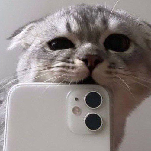 на айфоне