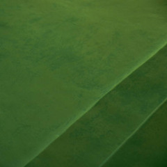 Dream all about it demo