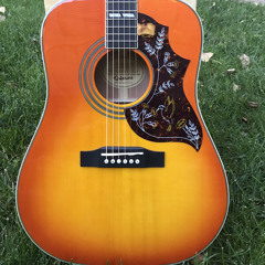 I should have known better