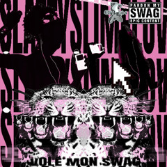 voler mon swag (20freestyle)