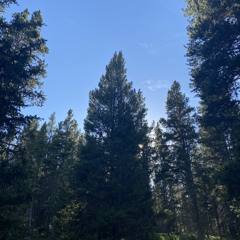 fwm pt2(prod baslle)