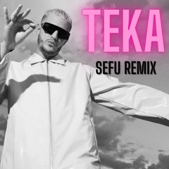 DJ Snake & Peso Pluma - Teka (Sefu Remix)