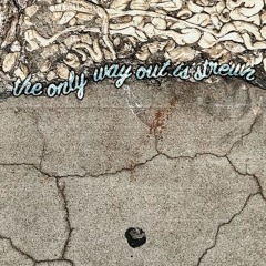 Get a slab of rabbitsquirrel! 'the only way out is strewn' out now on Vinyl!