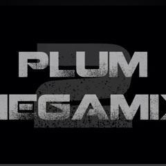 Plum-PLUM MEGAMIX2