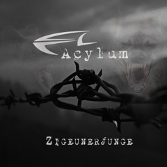 Zigeunerjunge (Benjamin's Plague Remix)