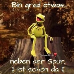 The Frog