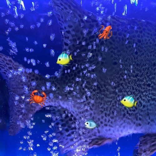 Listen to playlists featuring [Mix] Fish House Hip Hop, R&B, Pop | 수산시장 ...