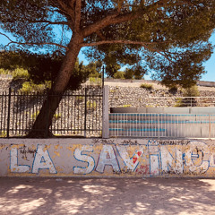 99 Savine, les pieds dans la colline