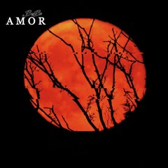 BeyBo - Amor
