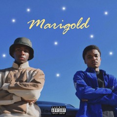 Marigold  (ft. TEZ)