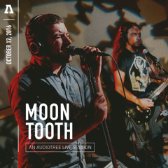 Queen Wolf (Audiotree Live Version)