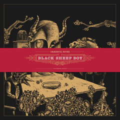 Black Sheep Boy #4
