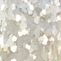 I Want To Know (Demo2)