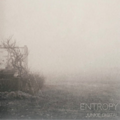 Junkie Digital - Entropy