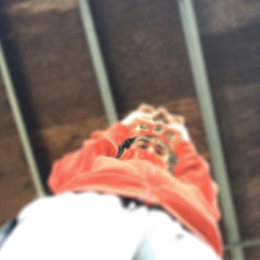 UU BEEFIN FREE$TYLE?