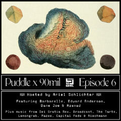 Puddle x 90mil EP6