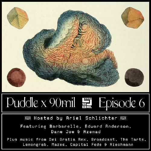 Puddle x 90mil EP6