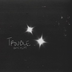 NEVER SAY NEVER - TROUBLE (SHI FLIP)