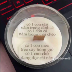 Một Đời x Cưới Đi Remix ( 14 Casper - Bon Nghiêm - feat buitruonglinh ) NVT Remix
