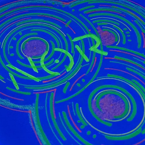 N O R   H A R D T E C H N O  SET .WAV