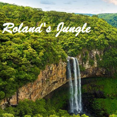 Roland's Jungle