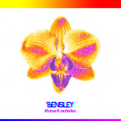 It's True ft. Rachel Leo