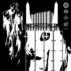 As within, So without w Fet progenitor (fet)