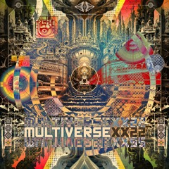 VA - Multiverse XX22 from Seraaphanaa Records (Album Mix)