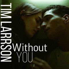 Tim Larrson - Without You ( Original Mix )